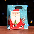 Пакет ламинированный "Дед Мороз" 11,5 х 14,5 х 6 см - фото 285483628