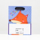 Пакет ламинированный "Рыжая лиса" 11,5 х 14,5 х 6 см (комплект 12 шт) - фото 22783718