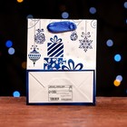 Пакет ламинированный "Подарки" 11,5 х 14,5 х 6 см (комплект 12 шт) - фото 22751798