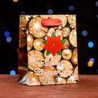 Пакет ламинированный "Merry Christmas" 11,5 х 14,5 х 6 см - фото 320057393