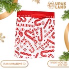 Пакет ламинированный "Новогодний леденец" 11,5 х 14,5 х 6 см (комплект 12 шт) - фото 22783751