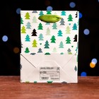 Пакет ламинированный "Новогодняя игра" 11,5 х 14,5 х 6 см (комплект 12 шт) - фото 22751838