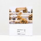 Пакет ламинированный "Шишки золотые" 11,5 х 14,5 х 6 см - Фото 4