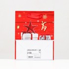 Пакет ламинированный "Новогоднее чудо" 11,5 х 14,5 х 6 см - Фото 4