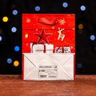 Пакет ламинированный "Новогоднее чудо" 11,5 х 14,5 х 6 см - Фото 2