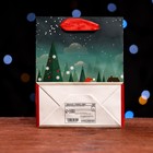 Пакет ламинированный "Дедушка Морозец" 11,5 х 14,5 х 6 см (комплект 12 шт) - фото 22751872