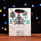 Пакет ламинированный "Декоративная ёлка" 11,5 х 14,5 х 6 см (комплект 12 шт) - фото 22751884