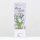 Пакет ламинированный под бутылку 12×36×9 7025947