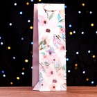 Пакет ламинированный под бутылку 12*36*9 - фото 27024187