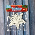 Ёлочные игрушки 3 шт. «Зимнее волшебство. Звезда в полоску люкс» пластик, 9×9 см, белый - Фото 2