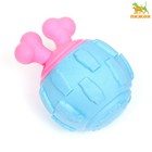 Игрушка для собак "Гиря", TPR, 11 см, голубая/розовая - фото 282675131
