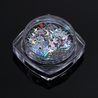 Пайетки для декора «Звёздная ночь», голографические, серебристый - Фото 5