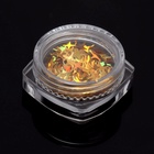 Пайетки для декора «Золотые звёздочки», цвет золотистый - Фото 5