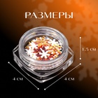 Пайетки для декора «Снежок», цвет серебристый, медный - Фото 2