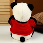 Мягкая игрушка «Панда» в кофте, 25 см - Фото 3