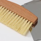 Набор для уборки: совок и щётка, 16×10,5×4 см, 16×4×1,6 см, 30 пучков, натуральный волос - Фото 3