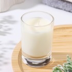 Ароматическая свеча в стакане MEDORI Melon Vanilla, дыня и ваниль 9909127 - фото 14695359