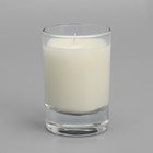 Ароматическая свеча в стакане MEDORI Melon Vanilla, дыня и ваниль 9909127 - фото 14695361
