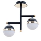 Светильник "Шедар" LED 18Вт 3000-6000К черно-золотой 35х18х30 см BayerLux - фото 22752134