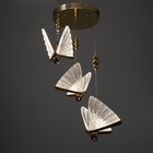 Светильник BayerLux "Бабочки" 3хLED 18Вт золото - фото 24720166