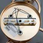 Люстра "Айрис" 3хЕ27 40Вт золото 42х42х23 см BayerLux - Фото 8