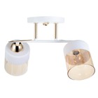 Люстра "Аделла" 2хЕ27 40Вт бело-золотой 40х19х24 см BayerLux - фото 24428007