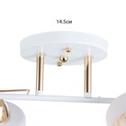 Люстра "Аделла" 2хЕ27 40Вт бело-золотой 40х19х24 см BayerLux - фото 24428010