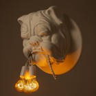 Бра "Бульдог" 3хЕ27 40Вт белый 51,5х51,5х32см - фото 22712514