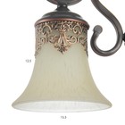 Бра "Милан" 1хЕ27 40Вт венге 16х30 см - фото 22712594