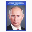 Плакаты патриотические «Россия», 4 шт., А4 - Фото 3