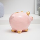 Копилка "Свинка с золотым пятачком" розовая, 12х16х12см - Фото 3