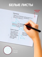 Комплект тетрадей из 10 штук, 18 листов в клетку Calligrata "King's school", обложка мелованный картон, блок офсет, 5 видов по 2 штуки - фото 24442385