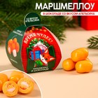 Маршмеллоу в шоколаде «Время чудес», вкус: апельсин, 50 г. - фото 10958296