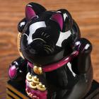 Сувенир кот пластик "Манэки-нэко с мешком богатства" 6 х 7 х 13 см, чёрный - Фото 5