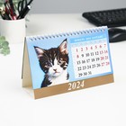 Календарь настольный, домик "Котята" 2024, 20х14 см - Фото 2