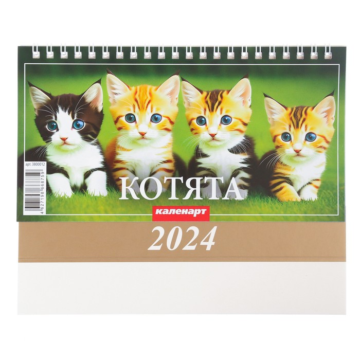 Календарь настольный, домик "Котята" 2024, 20х14 см 9789346