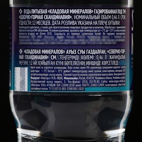 

Скандинавия пит. вода Кладовая минералов газ. 0,46 л.