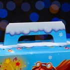 Подарочная новогодняя коробка "Наездники" , Презент 15,5 х 7 х 19 см (комплект 5 шт) - фото 28144119