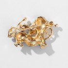 Брошь "Собачка" с листьями, цветная в золоте - фото 24353809