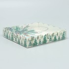 Коробка для кондитерских изделий с PVC крышкой «Зима», 15 х 15 х 3 см, Новый год (комплект 5 шт) - фото 22929862