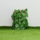 Ограждение декоративное, 110 × 40 см, «Лист осины», Greengo - Фото 5