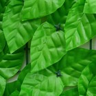 Изгородь декоративная, 300 × 100 см, «Листья осины», Greengo - фото 9956725