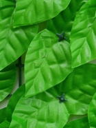 Ограждение декоративное «Листья осины», 300×100 см, Greengo - Фото 4