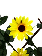 Ограждение декоративное, 35×120 см, «Подсолнухи», оттенок цветков МИКС, Greengo - Фото 10