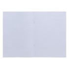 Тетрадь А4, 48 листов в клетку "Лягух Кир", обложка мелованный картон, матовая ламинация, тиснение, блок 60г/м2 , МИКС - фото 22784177