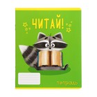 Комплект тетрадей из 10 штук, 24 листа в линию Calligrata "Советы енота", обложка мелованный картон, ВД-лак, блок офсет, 5 видов по 2 штуки - фото 24343197