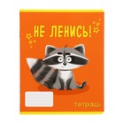 Комплект тетрадей из 10 штук, 24 листа в линию Calligrata "Советы енота", обложка мелованный картон, ВД-лак, блок офсет, 5 видов по 2 штуки - фото 24343199