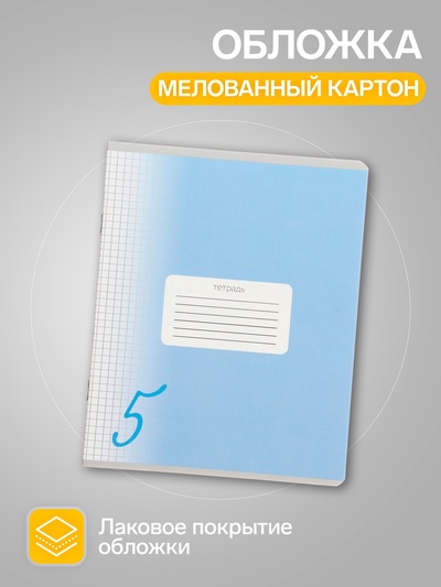 Комплект тетрадей из 10 штук, 24 листа в клетку Calligrata «Пятёрка», обложка мелованный картон, ВД-лак, блок офсет, 5 видов по 2 штуки