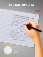 Комплект тетрадей из 10 штук, 24 листа в линию Calligrata "Школьная", обложка мелованный картон, ВД-лак, блок офсет, 5 видов по 2 штуки - фото 121959242