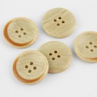 Набор пуговиц, 4 прокола, d = 25 мм, 5 шт, цвет бежевый (комплект 2 шт) - фото 22794345